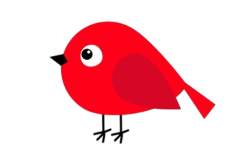 Red bird